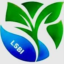 Lsbimobilegroup Investment Opportunity